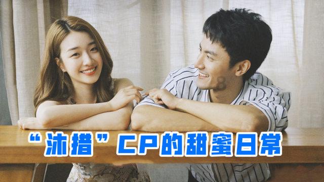 救援淘气的小狗