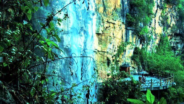春雨直播app